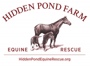 Hidden Pond Farm Equine Rescue