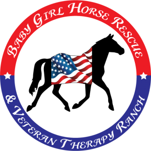 Baby Girl Horse Rescue & Veteran Ranch