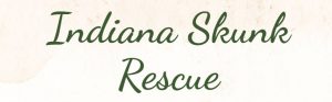 Indiana Skunk Rescue