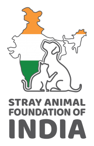 Stray_Animal_of_India-Secondary_Full_Color