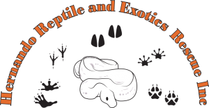 Hernando Reptile and Exotics Rescue, Inc.