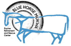 Blue Horse Mukwa Equine Retirement & Rescue Center