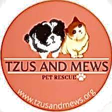 Tzus and Mews Rescue
