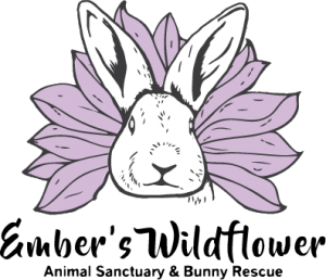 Ember’s Wildflower Animal Sanctuary & Bunny Rescue