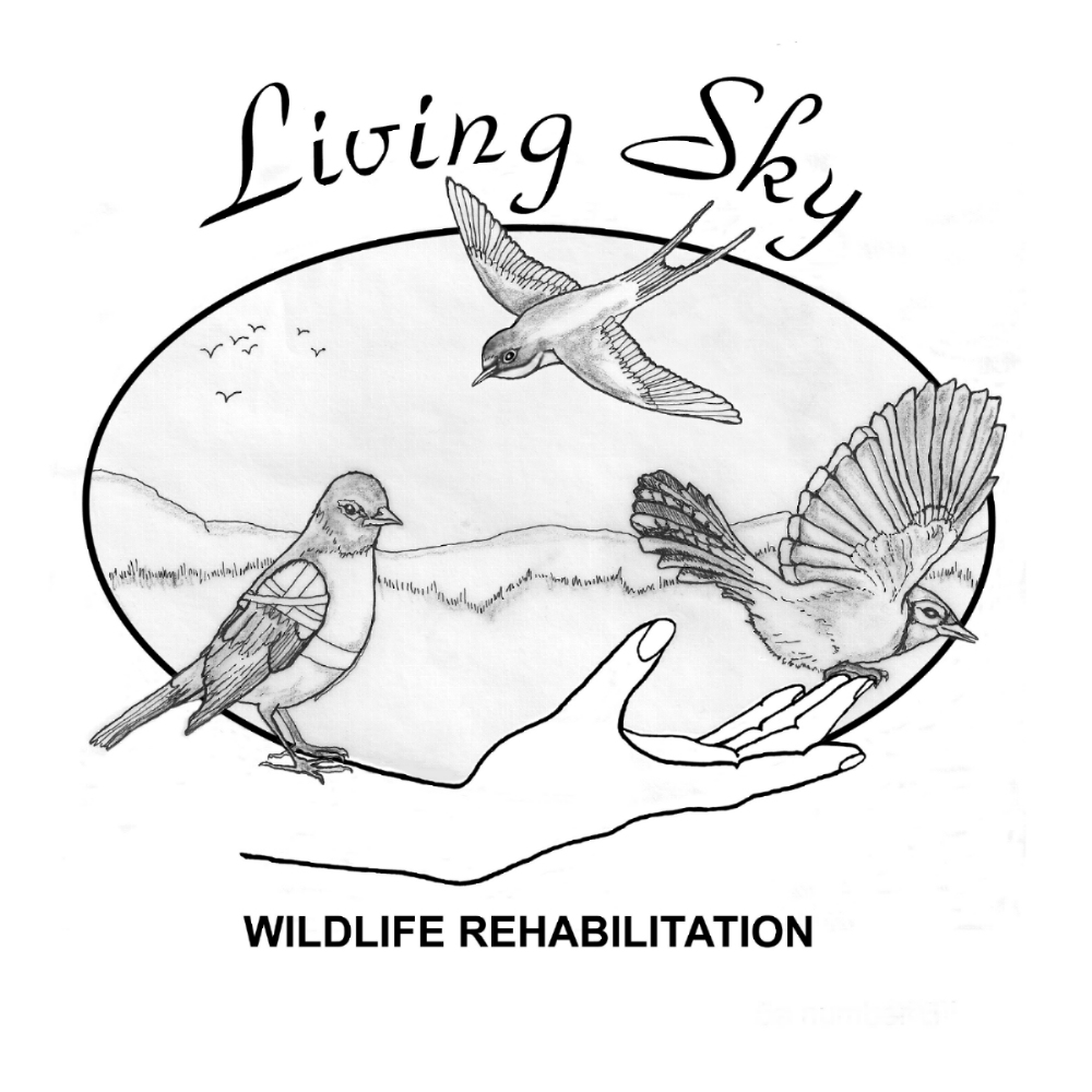 Living Sky Logo Clean Living Sky Logo Clean