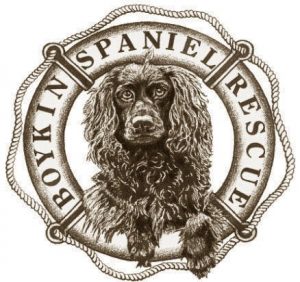 Boykin Spaniel Rescue, Inc.