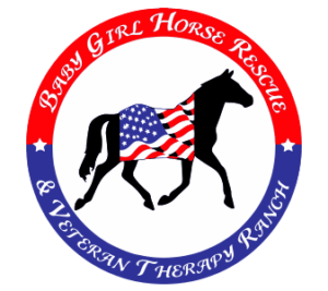 Baby Girl Horse Rescue & Veteran Ranch