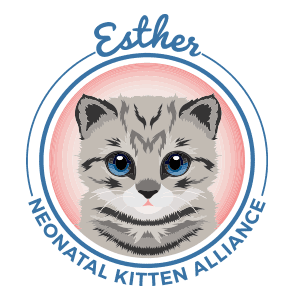 Esther Neonatal Kitten Alliance