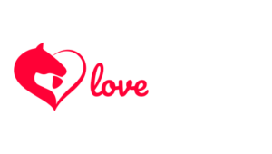 Fostering Love Rescues