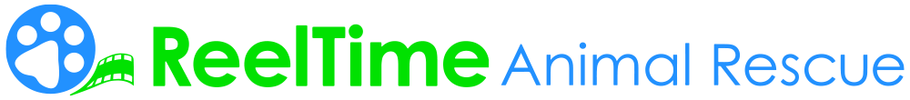 logo_new_bluegreen