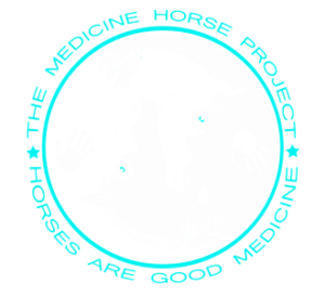 The Medicine Horse Project