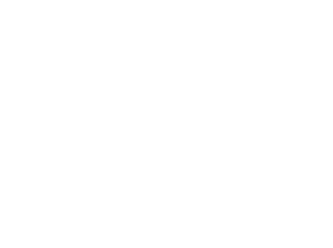 Mustang Ambassador Program