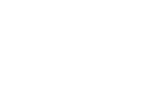 Indiana_shunk_L