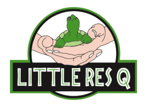 Little RES Q