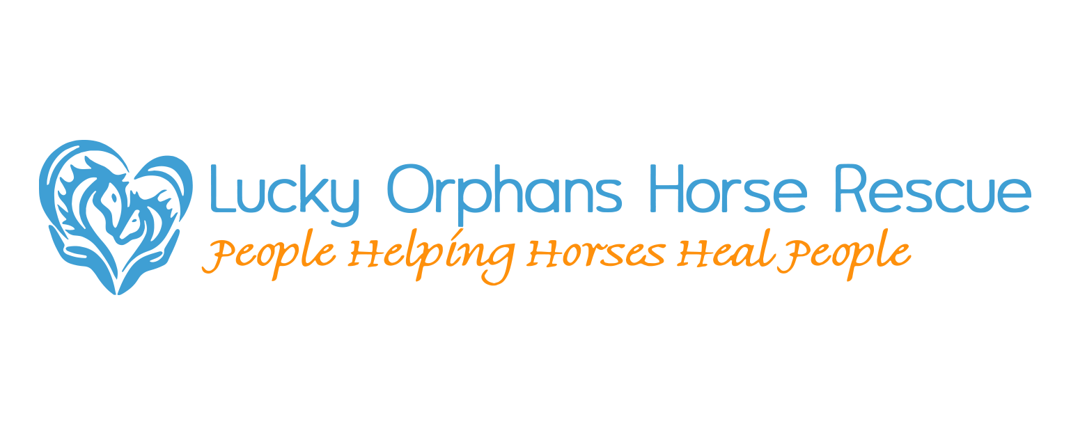 lucky_orphans_horse_rescue_L