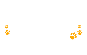 no_monkey_business_L