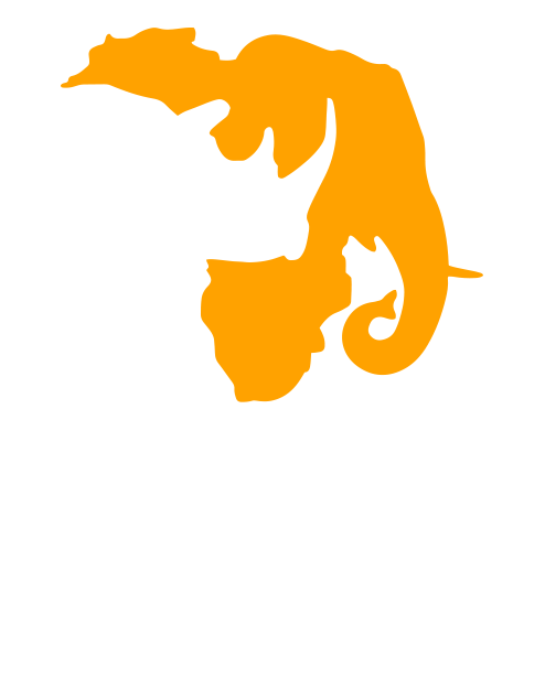 over_and_above_africa_L