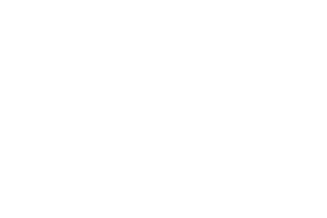 Primates Incorporated
