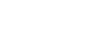 Rise Raptor Project