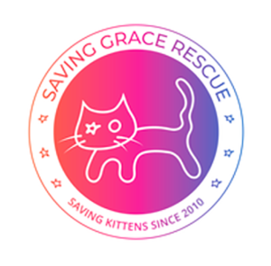 saving_grace_L
