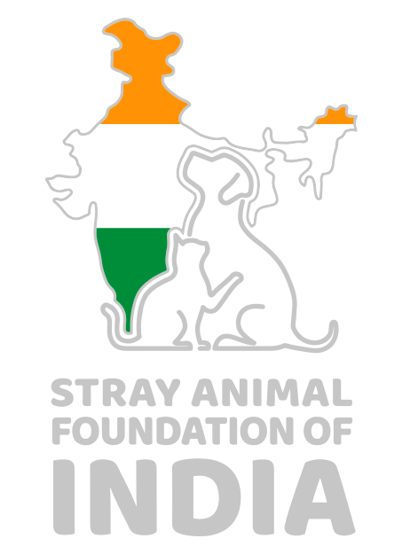 stray_animal_foundation_india_L