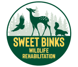 Sweet Binks Wildlife Rehabilitation