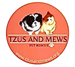 tzus_and_mews_L