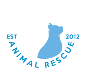 4 Paws 4 Life Rescue