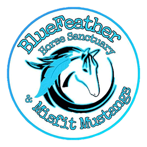 BlueFeather Horse Sanctuary & Misfit Mustangs