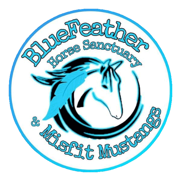 BlueFeather-New-Logo_600