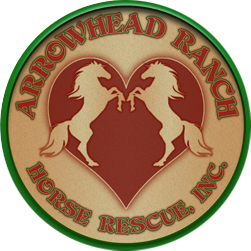 Arrowhead Ranch Horse Rescue, Inc
