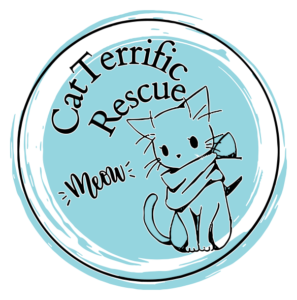 Cat Terrific Rescue
