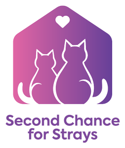 Second Chance for Strays