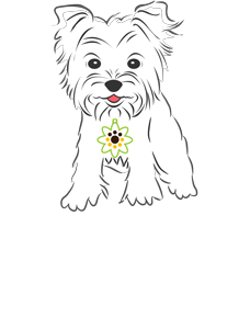 Daisy Cares