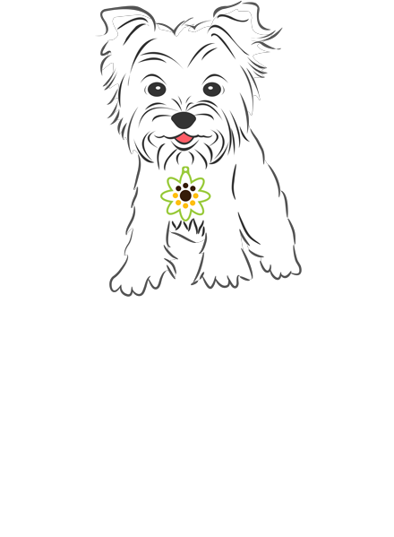 DaisyCares_rev_600