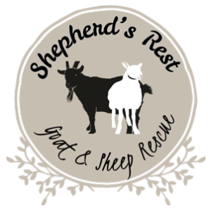 Shepherd's Rest Goat and Sheep Rescue