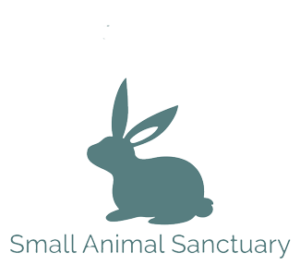 Dolly & Friends Small Animal Sanctuary, Inc.