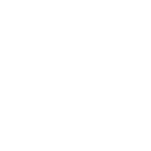 Vindicate Horse Rescue & Training