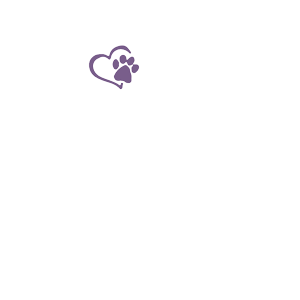 The Good Shepards Foundation