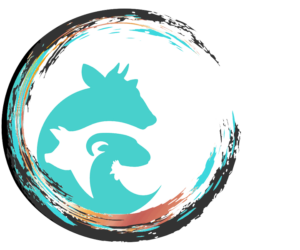 TheZend-Logo_600_A