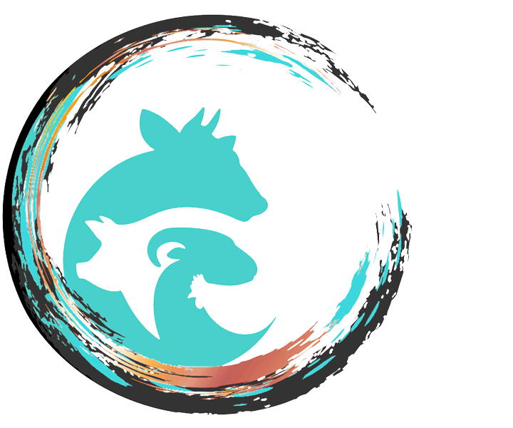 TheZend-Logo_600_A