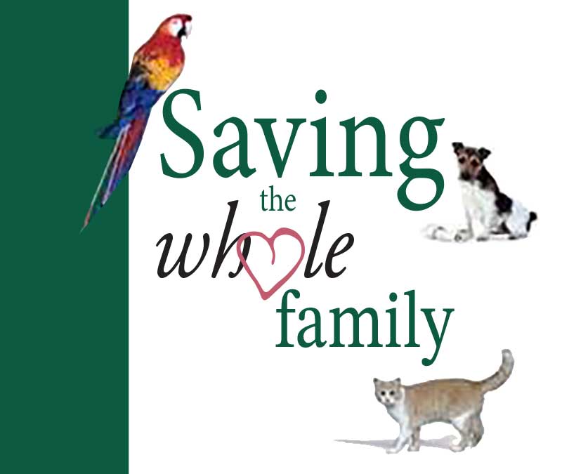 saving-the-whole-family_edit