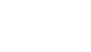 Daisy Chain LTD