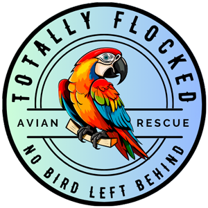 Totally Flocked Avian Rescue