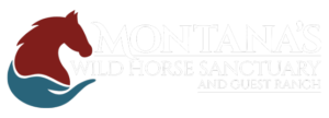 Montana's Wild Horse Sanctuary