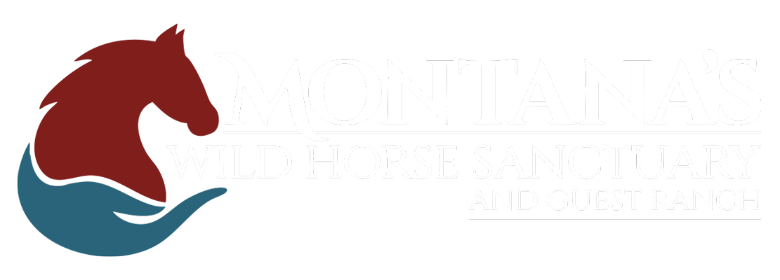 Montana's-Wild-Horse-Sanctuary_Final-Logo_rev_600B