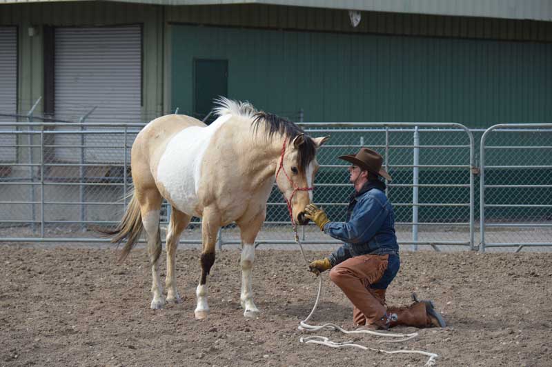 Montana's-Wild-Horse-Sanctuary_Im2_sm