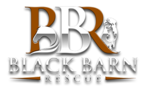 Black Barn Rescue, Inc.