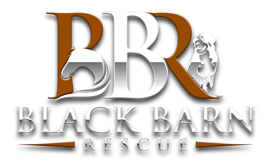 BBR_logo_600