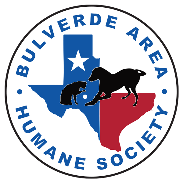 Bulverde_logo_B600 Bulverde_logo_B600
